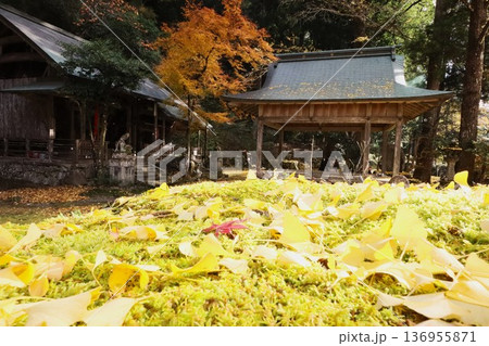岩戸落葉神社 136955871