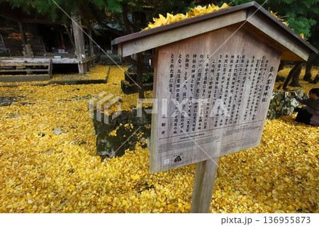 岩戸落葉神社 岩戸落葉神社 136955873