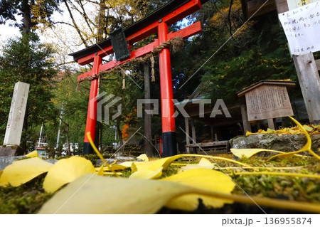 岩戸落葉神社 136955874