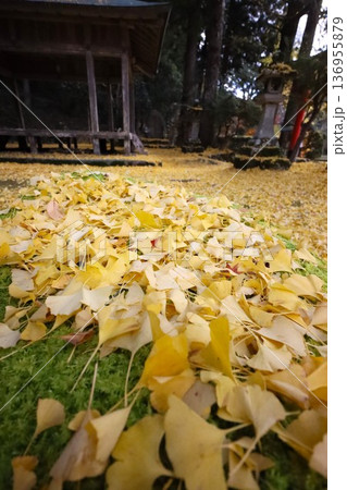 岩戸落葉神社 岩戸落葉神社 136955879
