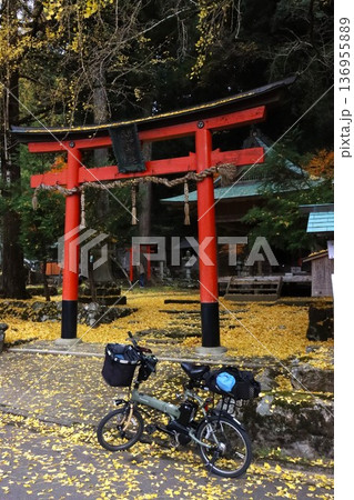 岩戸落葉神社 岩戸落葉神社 136955889