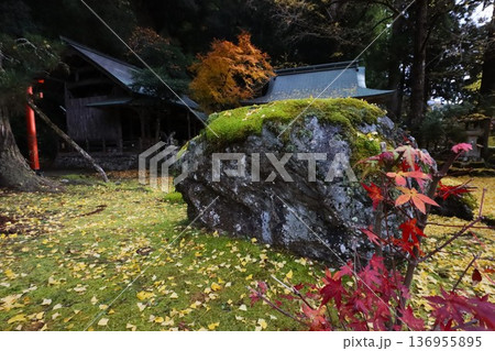 岩戸落葉神社 岩戸落葉神社 136955895