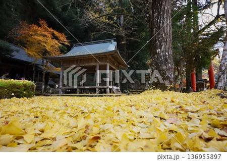 岩戸落葉神社 岩戸落葉神社 136955897