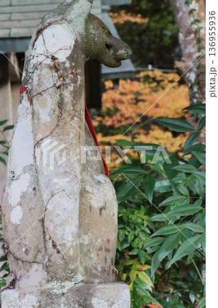 岩戸落葉神社 岩戸落葉神社 136955936