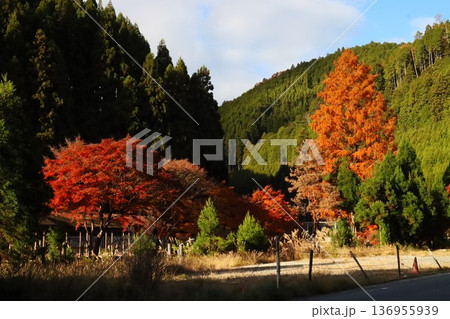 岩戸落葉神社 岩戸落葉神社 136955939