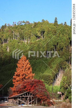 岩戸落葉神社 136955944