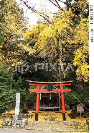 岩戸落葉神社 岩戸落葉神社 136955978