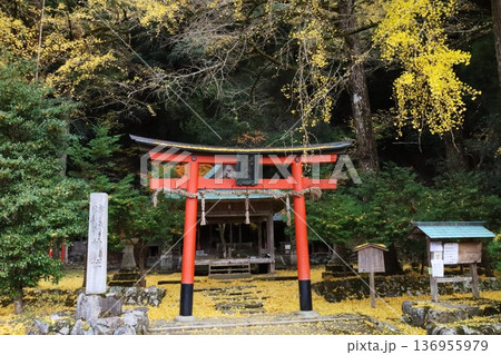 岩戸落葉神社 岩戸落葉神社 136955979
