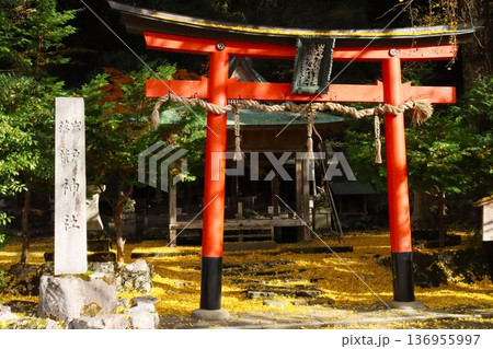 岩戸落葉神社 岩戸落葉神社 136955997