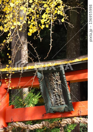 岩戸落葉神社 岩戸落葉神社 136955998