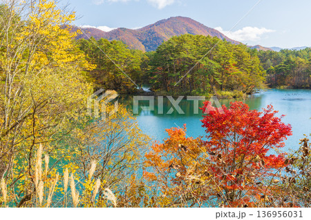 秋の福島裏磐梯 紅葉の五色沼湖沼群 毘沙門沼 秋の福島裏磐梯 紅葉の五色沼湖沼群 毘沙門沼 136956031