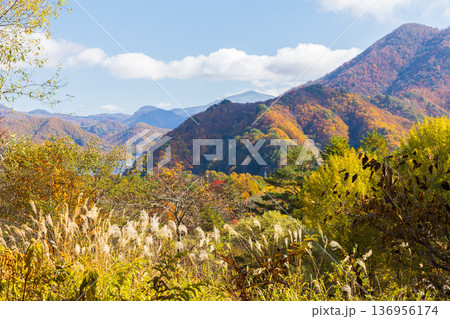 秋の福島裏磐梯　紅葉の五色沼湖沼群 136956174