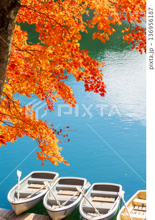 秋の福島裏磐梯 紅葉の五色沼湖沼群 毘沙門沼 秋の福島裏磐梯 紅葉の五色沼湖沼群 毘沙門沼 136956187