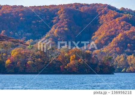 秋の福島裏磐梯 紅葉の桧原湖 秋の福島裏磐梯 紅葉の桧原湖 136956218