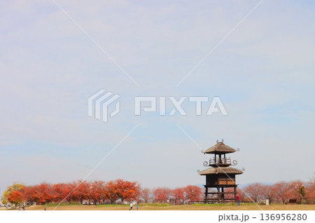 唐古・鍵遺跡 唐古・鍵遺跡 136956280