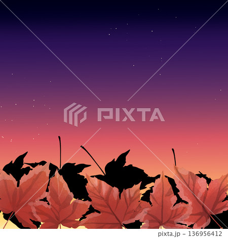秋の空と紅葉の風景 秋の空と紅葉の風景 136956412