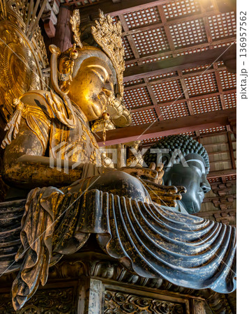 東大寺大仏 136957562