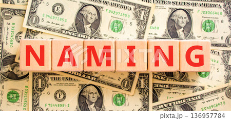 Naming or name symbol. Concept word Naming on beautiful wooden blocks. Beautiful dollar bills background. Beautiful dollar bills. Business naming or name concept. Copy space. Naming or name symbol. Concept word Naming on beautiful wooden blocks. Beautiful dollar bills background. Beautiful dollar bills. Business naming or name concept. Copy space. 136957784