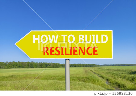 How to build resilience symbol. Concept words How to build resilience on beautiful yellow road sign. Beautiful blue sky green field background. Business how to build resilience concept. Copy space. 136958130