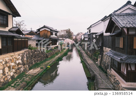 [八幡堀]美しい桜が咲き誇る風景 / 時代劇のロケ地にも度々使用されている古風な町並み 136958514