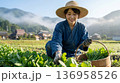 農業をする女性農家　自然の中で野菜を収穫する日本の農業風景 136958526
