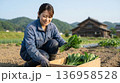 農業をする女性農家　自然の中で野菜を収穫する日本の農業風景3 136958528
