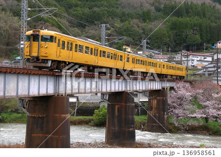 春の伯備線115系電車 春の伯備線115系電車 136958561