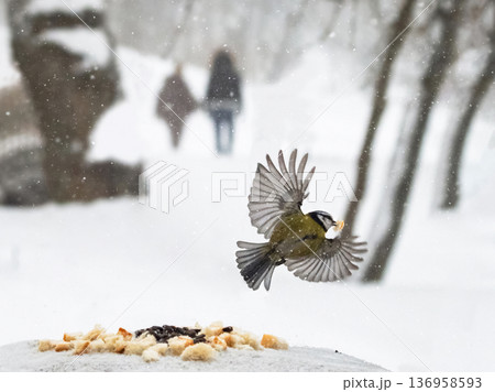 A bird is flying in the snow, and a couple is walking behind it 136958593