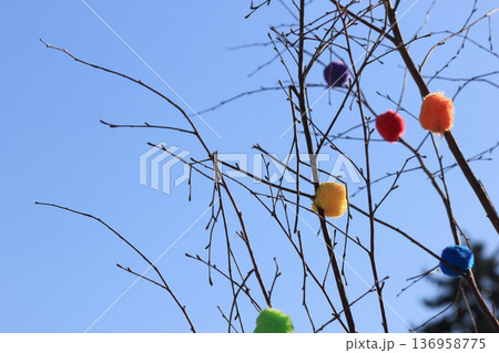 Spring festival decorations with vibrant colorful pom-poms and ribbons on birch branches outdoors Spring festival decorations with vibrant colorful pom-poms and ribbons on birch branches outdoors 136958775