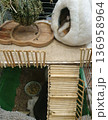 Guinea pig resting in a soft white plush house next to a hay feeder ball. Cozy and well-equipped habitat 136958964