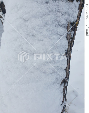 Close up of tree trunk covered with fresh snow, natural winter texture background. 136958983