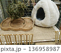 Cozy rodent cage setup with soft plush house, hay feeder ball, and wooden bowl 136958987