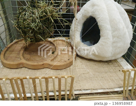 Cozy rodent cage setup with soft plush house, hay feeder ball, and wooden bowl Cozy rodent cage setup with soft plush house, hay feeder ball, and wooden bowl 136958987