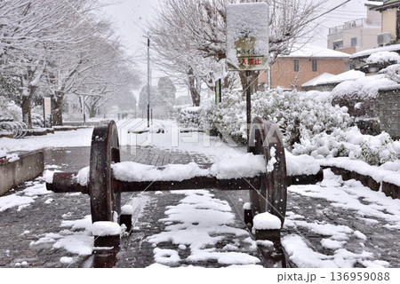 雪が積もって静まりかえる寒川一之宮公園緑道 136959088