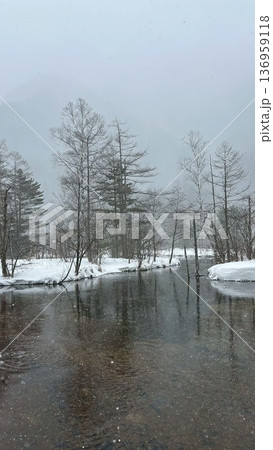 雪の降る朝 雪の降る朝 136959118