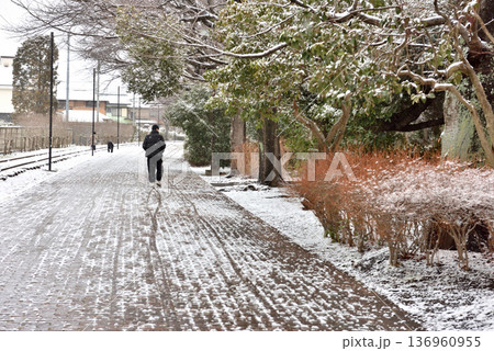 雪が積もって静まりかえる寒川一之宮公園緑道 136960955