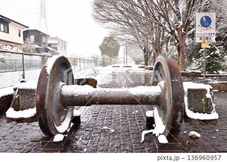 雪が積もって静まりかえる寒川一之宮公園緑道 136960957