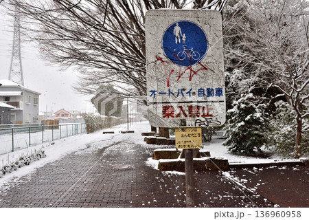 雪が積もって静まりかえる寒川一之宮公園緑道 136960958