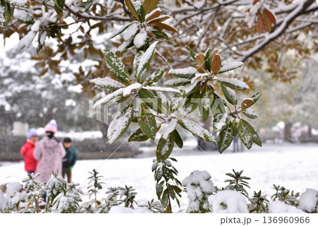 雪の中公園で遊ぶ子供たち 雪の中公園で遊ぶ子供たち 136960966
