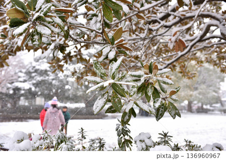 雪の中公園で遊ぶ子供たち 136960967