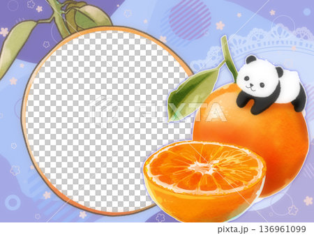 Orange and Panda Cute Photo Frame Orange and Panda Cute Photo Frame 136961099
