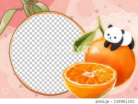 Orange and Panda Cute Photo Frame 136961102