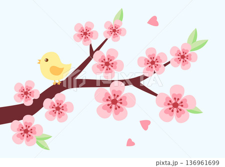 Spring blooming sakura or cherry tree with bird singing vector illustration in simple flat style. Clipart design element. Springtime blossom concept. 136961699