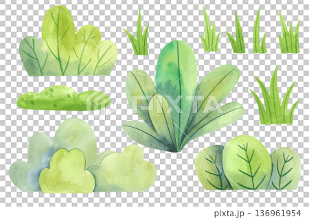 Set of watercolor green bushes and grass. Simple children's illustrations of a green lawn. 136961954