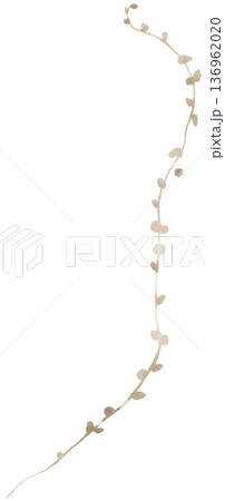 Watercolor winding vine branch with small light brown leaves, isolated botanical illustration 136962020