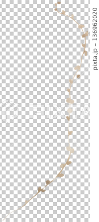 Watercolor winding vine branch with small light brown leaves, isolated botanical illustration 136962020