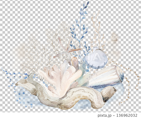 Arrangement with beige pastel watercolor seashells, isolated illustration for coastal beach wedding Arrangement with beige pastel watercolor seashells, isolated illustration for coastal beach wedding 136962032