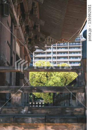 [四天王寺]大阪を代表する歴史深いお寺の美しい風景 136962081