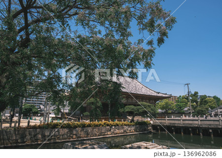 [四天王寺]大阪を代表する歴史深いお寺の美しい風景 136962086