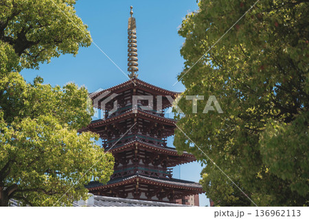 [四天王寺]大阪を代表する歴史深いお寺の美しい風景 136962113